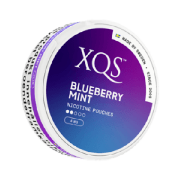 XQS Blueberry Mint Slim